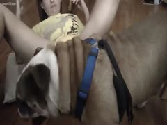 Pervertslut Zoophilia Porn Teen: Her dog messes with her gorgeous brown hair till he is unthinkable